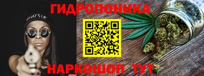 прущие грибы Ирбит