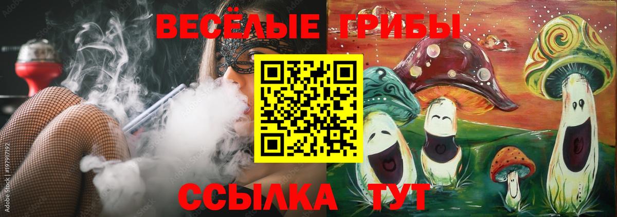 Галлюциногенные грибы Magic Shrooms  Вход с VPN  Майкоп  Псилоцибиновые грибы MAGIC MUSHROOMS 